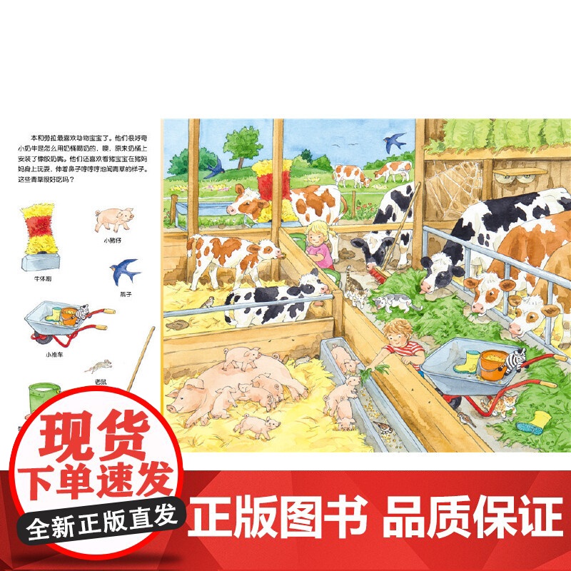 [点读版]1-4岁幼儿专注力培养游戏纸板书宝宝专注力1000全6册动物车子大发现系列游戏绘本2-3岁宝宝撕不烂图画故事书高清大图