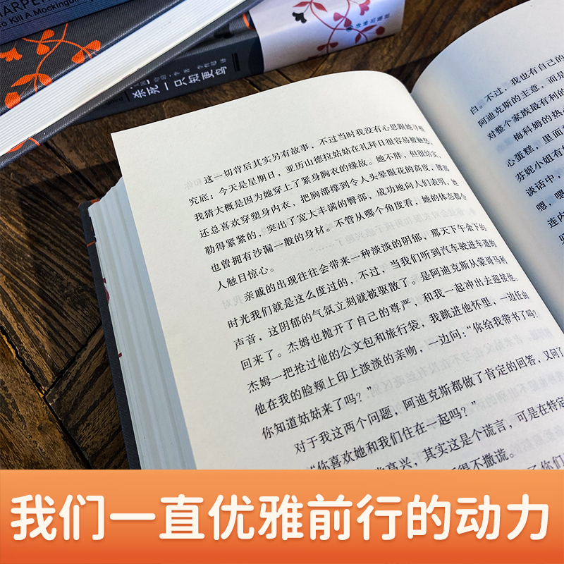 (全2册)杀死一只知更鸟+守望之心 [正版]杀死一只知更鸟 哈珀李著 普利策奥斯卡获奖作品 勇气与正义之书 译林出版 中