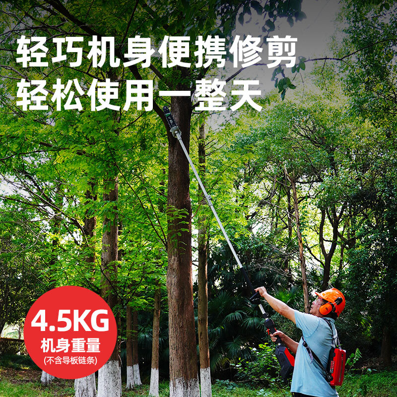 凯姿(KAZZ)KZ560GZ 电动高枝锯40V长杆果树锯充电式电链锯园林锂电高空锯 单位:台高清大图