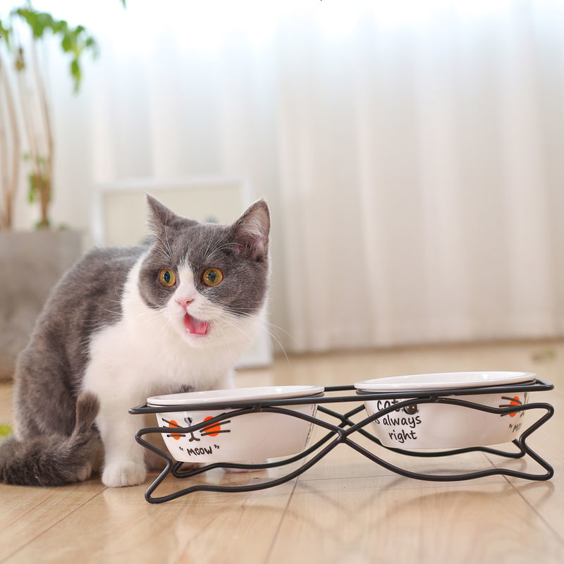 猫碗双碗猫咪饭盆猫粮碗不锈钢宠物碗架陶瓷碗猫水盆猫食碗猫粮盆