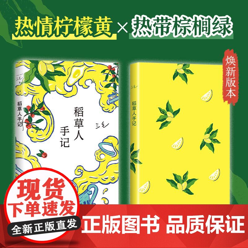 稻草人手记 三毛 三毛全集 华语文学 正版 撒哈拉的故事高清大图