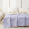 多喜爱(Dohia)夏凉被 亲肤磨绒静语柔风S码-152*218cm