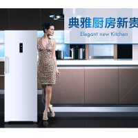 海尔(Haier) BD-226W 226升 家用抽屉式冷柜 风冷无霜 立式冷柜 电脑控温侧开门冰柜 新机现货 下单即发
