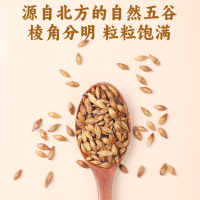 [买1送1共610g]北京同仁堂大麦茶305g正品官方旗舰店饭店专用养生茶浓香型花草茶