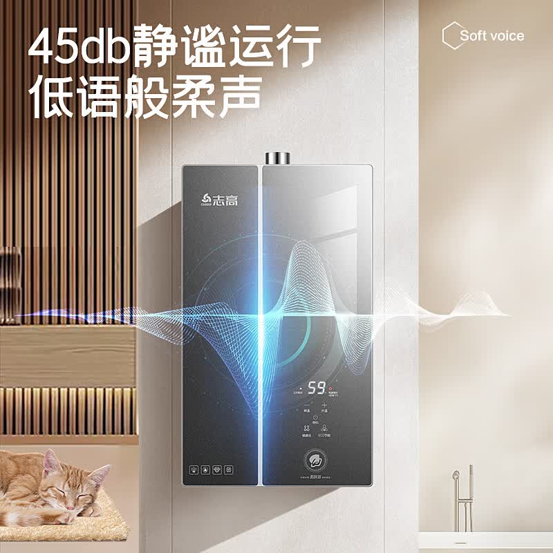 志高CHIGO 12升恒温燃气热水器 微电脑控制 强排式设计 液化气ECO节能 变频风机 低水压启动 即浴即热高清大图