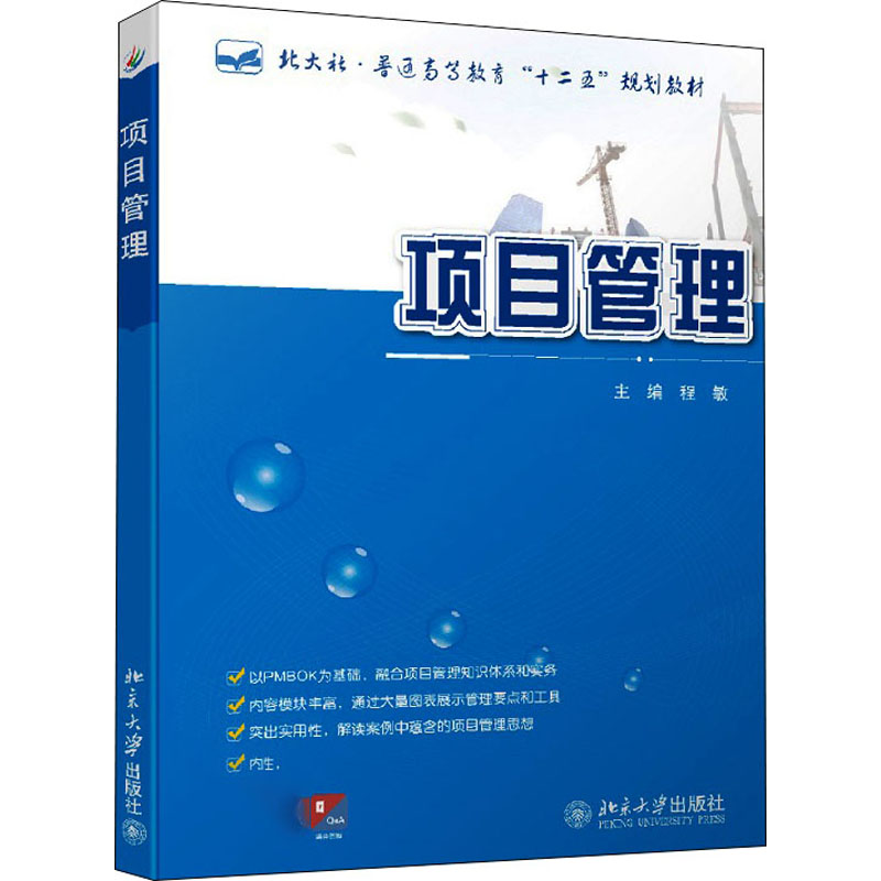 [M]项目管理 程敏 编 -9787301214480高清大图