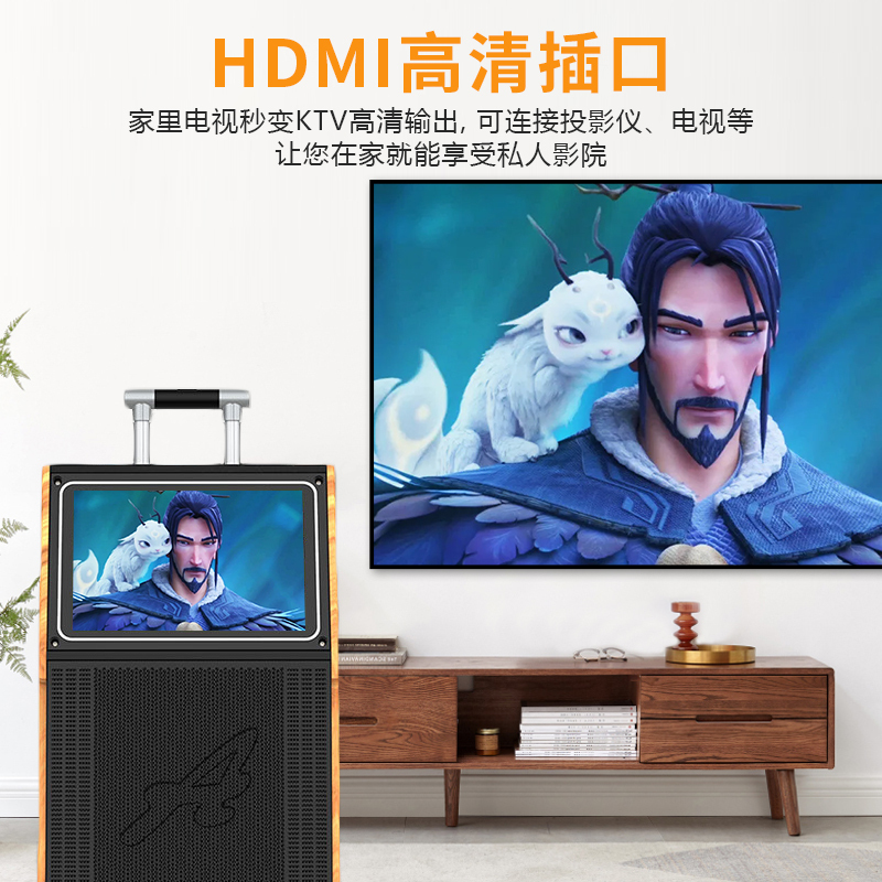 爱浪(Avlight)DS11-215广场舞音响带显示屏拉杆户外演出户外网红直播蓝牙音箱无线麦克风内置声卡