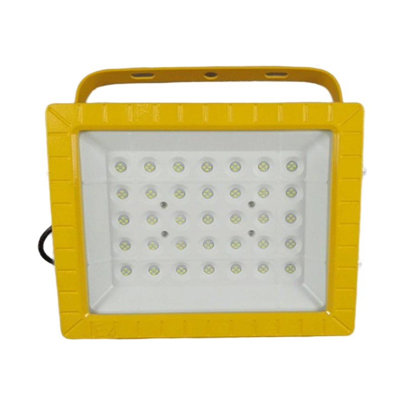 旭升CXS CGBT0301L(A) IP66 5000K LED防爆投光灯 黄色100W高清大图