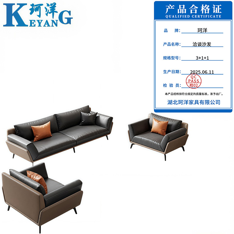珂洋 洽谈沙发 3+1+1 套高清大图