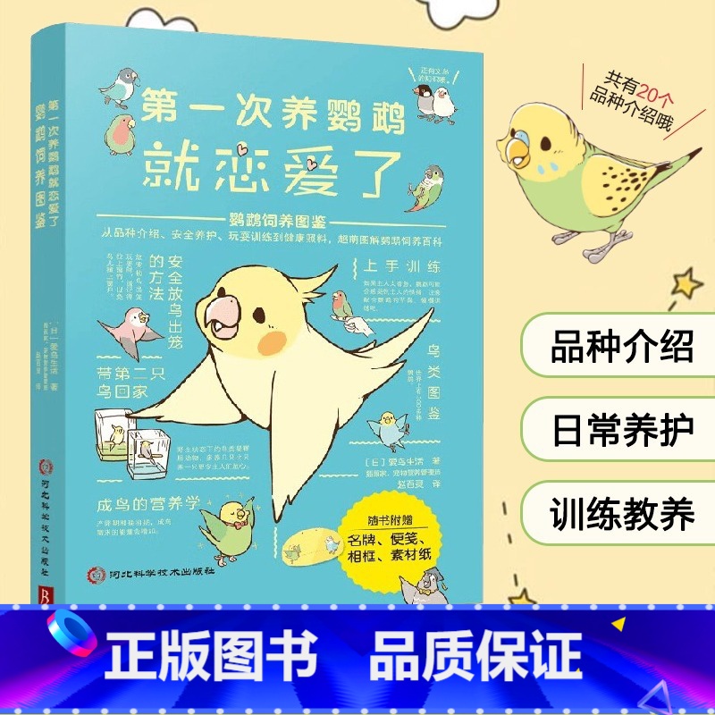 第一次养鹦鹉就恋爱了:鹦鹉饲养图鉴 【正版】第一次养鹦鹉就恋爱了鹦鹉饲养图鉴鹦鹉饲养图鉴养鸟技术大全日常健康照料品种介绍