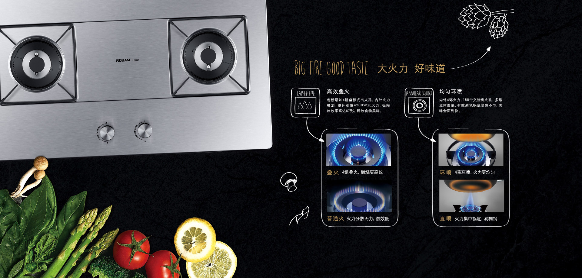 老板燃气灶 jz(y/t/r)-9g21