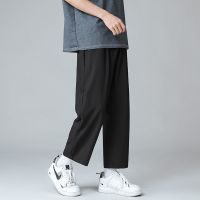 夏季薄款冰丝长裤男简约宽松直筒裤子男休闲裤九分潮流百搭阔腿裤 [冰丝裤]黑色 M [建议90-110斤]