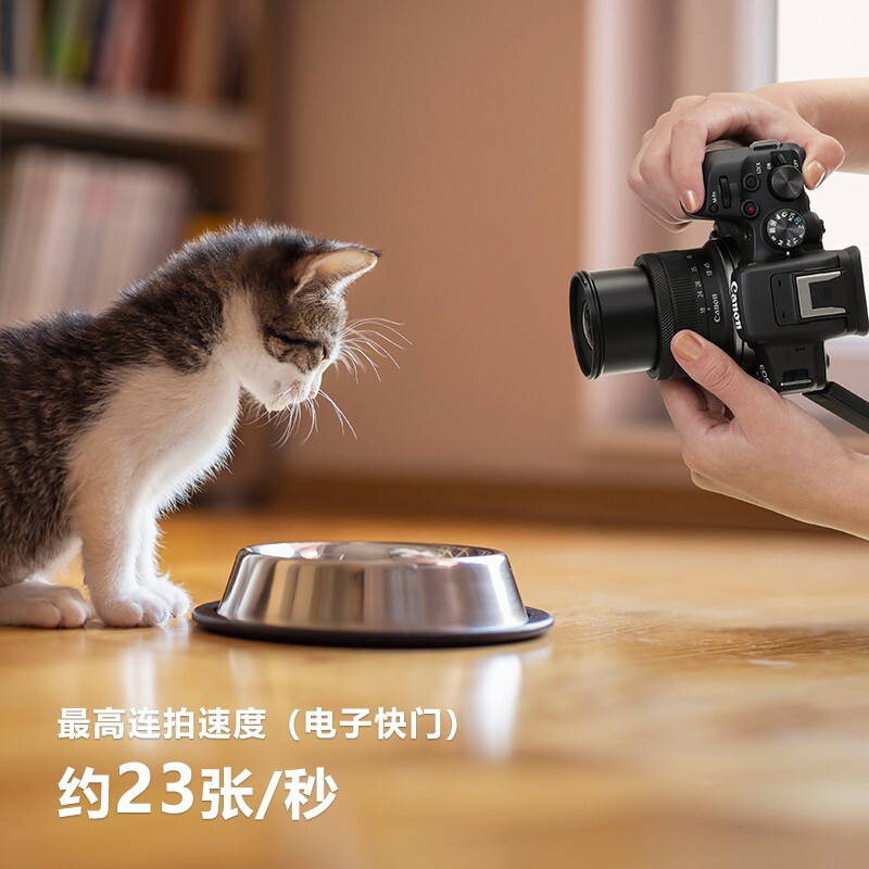 佳能(Canon) EOS R10+18-45套机 微单数码照相机视频直播高清相机高清大图