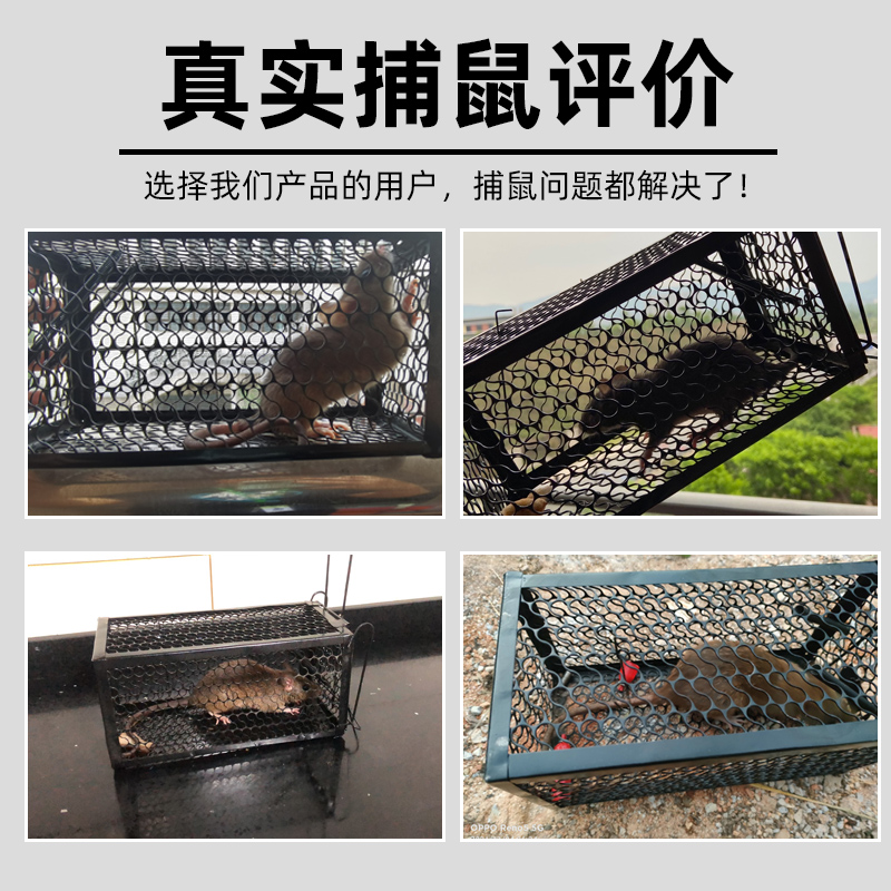 抓老鼠笼子捕鼠神器家用全自动逮扑捉耗子老鼠夹强力粘鼠板灭鼠器 老鼠夹4个+捕鼠笼2个(店长推荐)送诱高清大图