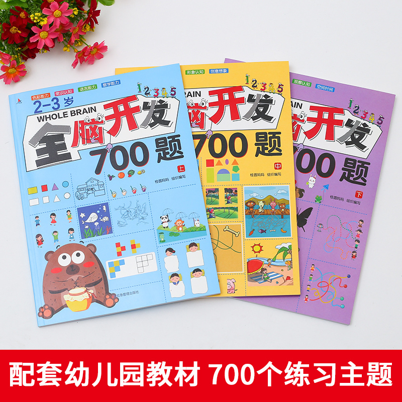 左右脑智力大开发4~5岁 [正版]全脑开发700题1000题2-3岁儿童早教书幼儿园宝宝小班数学思维逻辑训练专注力训练书