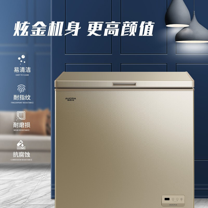 澳柯玛(aucma)208升家用商用大容量冷藏冷冻卧式冰柜一机多用电脑控温