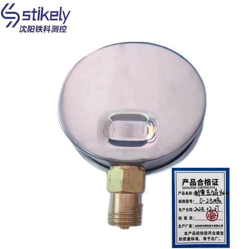 Stikely 耐震压力表 YN-60 0-2.5mpa/块高清大图