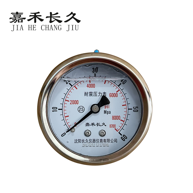 嘉禾长久 耐震压力表轴向 YTN60Z 0-60Mpa 块高清大图