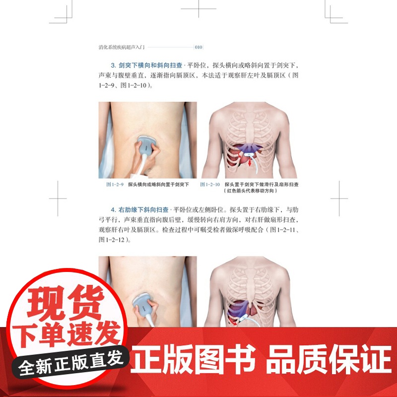 消化系统疾病超声入门 医生文字简练大量影像图手绘图直观易懂超声专业研究生规培学员教程临床医师参考书 上海科学技术出版社高清大图