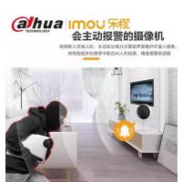 大华乐橙TC2E无线监控摄像头 智能摄像头 家用无线红外夜视高清摄像头 手机查看 1080P 带64G内存