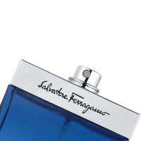 菲拉格慕(Ferragamo)蓝色经典男士淡香水 100ml