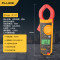 福禄克(FLUKE)交直流钳形数字万用表F317 1个