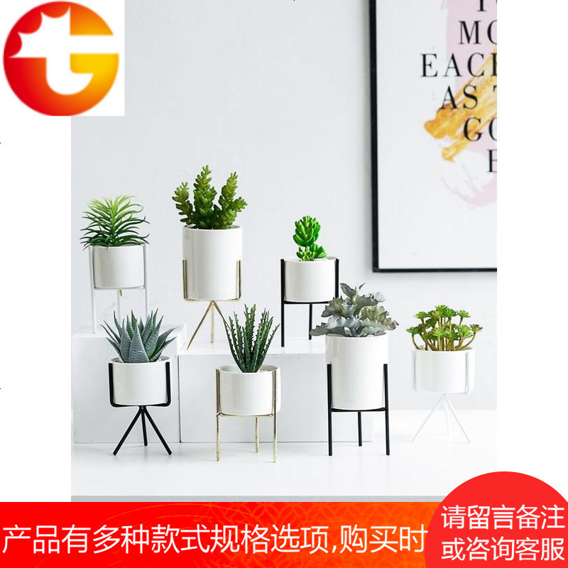 小盆栽仙人掌多肉仿真植物装饰摆件假花北欧室内客厅桌面绿植摆设