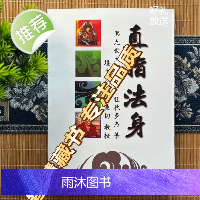 直指法身 第九世大宝法王旺秋多杰著 创古仁波切教授 简体横排高清大图