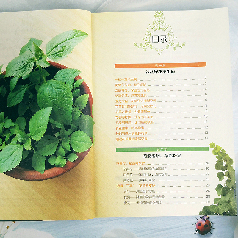 [醉染正版]养盆好花不生病 一花一草能治病健康环保又省钱 新手入门健康养花 张林波 编著 著作 家庭医生生活 北京联合出高清大图