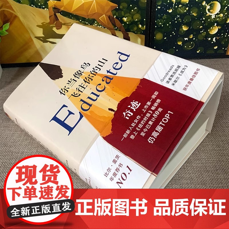 你当像鸟飞往你的山 中文版 比尔盖茨外国现当代文学自传体女性暖心励志小说书籍书纽约时报自我成长正版高清大图