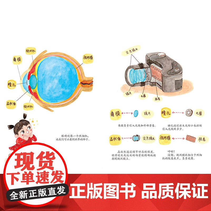 你好眼睛硬壳精装图画书让孩子了解护眼常识保护眼睛形象地讲述了很多医学护眼常识解释了什么是近视远视和散光中福会儿童绘本高清大图