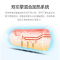 半球扁桶电热水器家用卫生间洗澡速热储水式圆桶50/60/80升洗澡机定制商品升级双胆扁桶出水断电60L