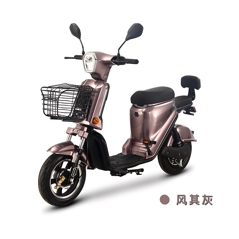 电动车/电动自行车/奔的魅力电动车/新国标电动车/两轮电动车/简易车