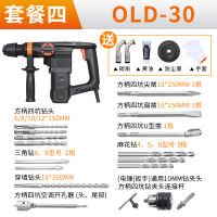 龙韵电锤电镐电钻三用多功能冲击钻家用专打混凝土工业版电动工具 旗舰套餐四