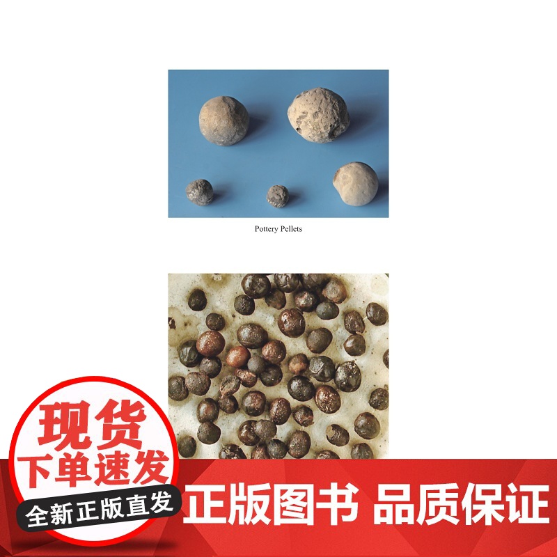 东方曙光:宁波史前文明(英文版)高清大图