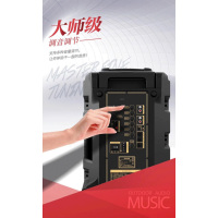 特美声(TEMEISHENG) SL12-31户外广场舞K歌音响大功率便携式拉杆蓝牙带话筒移动音箱