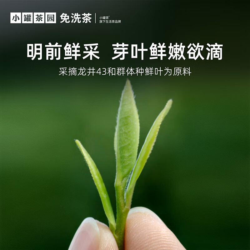 小罐茶2025新茶上市小罐茶园·明前龙井绿茶茶叶自己喝 75g*1罐高清大图
