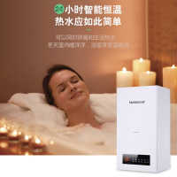 乐尔玛（LERMA）燃气壁挂炉天然气取暖炉地暖淋浴家用锅炉暖气片 20KW-BF09（适合90-130㎡）