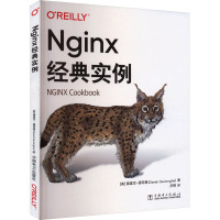 [正版]Nginx经典实例 Web网站构架书籍 Nginx编程开发教程 Nginx程序设计 书籍 书店图书籍 中国电力出