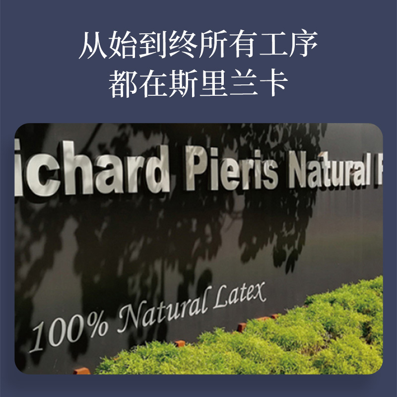 睡眠博士(AiSleep)斯里兰卡进口天然乳胶枕成人睡觉专用枕头 波浪型颈椎枕芯