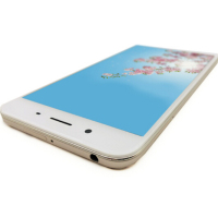 [二手9成新]VIVO Y66 金色 3GB+32GB 全网通 安卓手机 5.5英寸屏 双卡双待 移动电信通联通4G手机