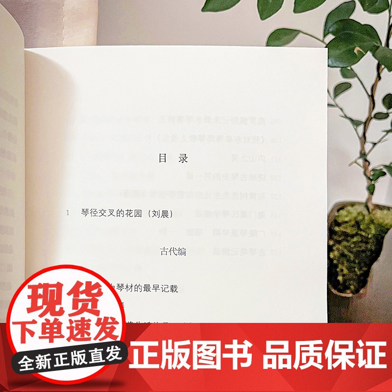 琴门徘徊录 严晓星古琴文化随笔集近代史掌故上海人民出版社古琴文集高清大图