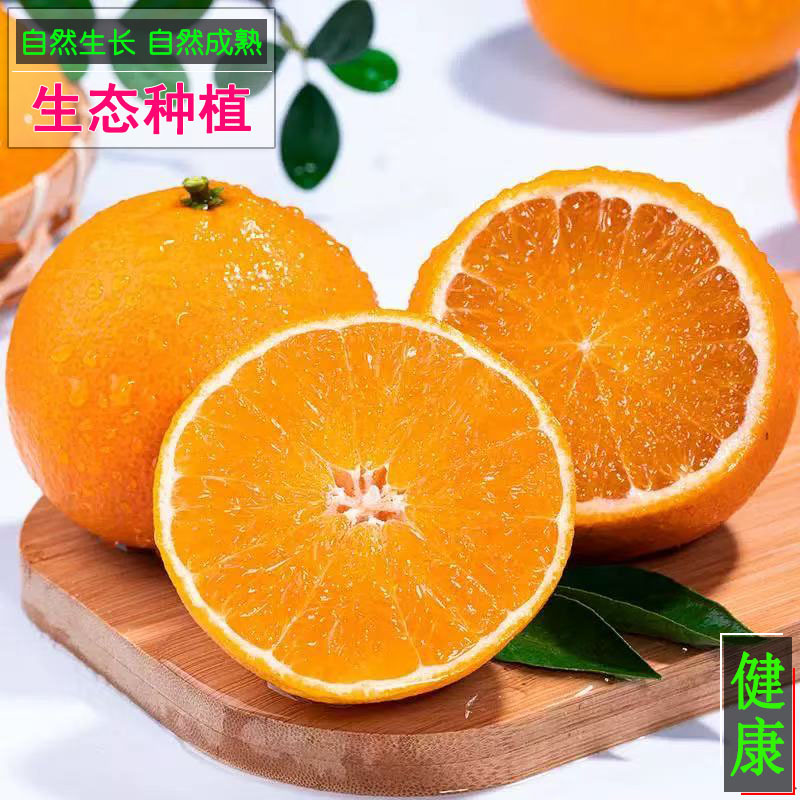 正宗四川眉山青见果冻橙新鲜水果