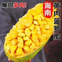 冠町 海南黄肉菠萝蜜整果17-23斤 新鲜水果生鲜