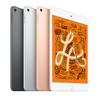 2019款 Apple iPad mini 5 平板电脑 7.9英寸(64GB WLAN版 MUQW2CH/A 深空灰色)