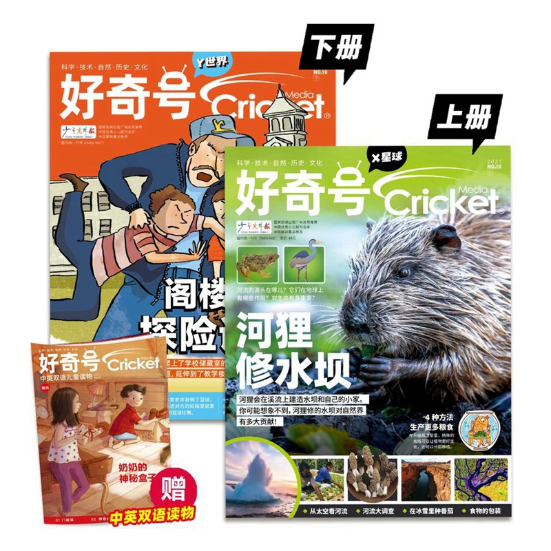 好奇号+环球少年地理2024年1-12月 [正版]好奇号2024年1月刊起订阅12期36册每月双刊6-12岁儿童全领域通