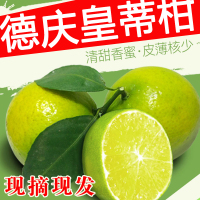 顺丰快递 果子现摘 10斤装 正宗德庆皇帝柑 贡柑 新鲜整箱现摘现发 橘子桔子当季水果橙子