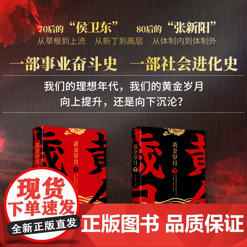 黄金岁月(上下2册) 漠野萧成 作品 官场反腐小说 正道 黄金岁月 中国文学小说 事业奋斗 社会进化 畅谈社会中坚力量的高清大图