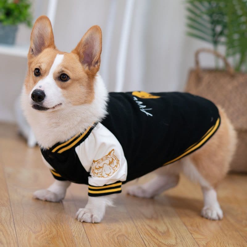 潮牌宠物狗狗衣服秋装柯基泰迪柴犬专用棒球服背心外套中型犬秋冬【价格图片品牌报价】-苏宁易购鹿嵘宠物用品专营店 中型犬 服