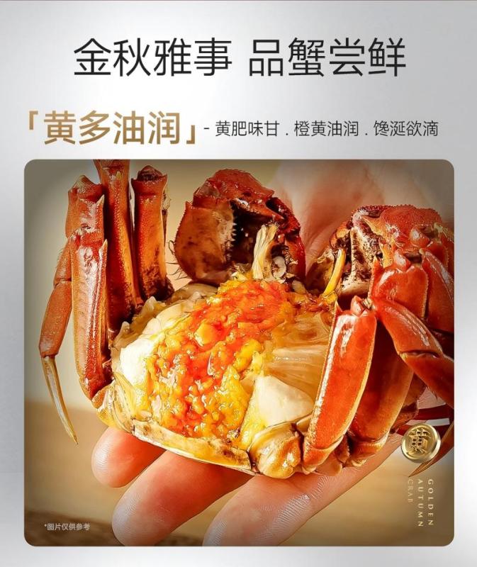 蟹状元598型 (雄蟹3.2两/4只+雌蟹2.2两/4只)非质量问题不支持退货高清大图